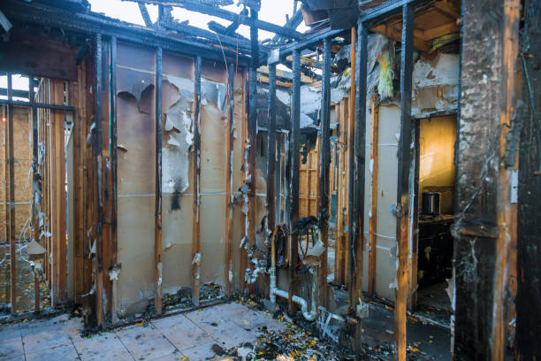 Professional Smoke Damage Removal technician working in San Andreas, CA